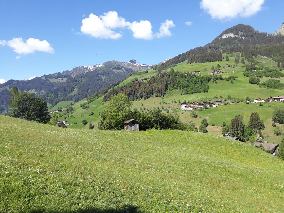Haus Lanzelin In Salzburg Bed & Breakfast Гросарл Екстериор снимка